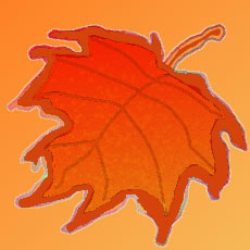 [A solitary leaf in the glorious sunset tones of autumn]