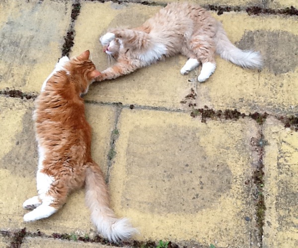 Photo of Copernicus and Galileo on front paving stones