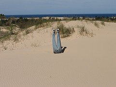 Photo of sandy dune with person buried upside down to waist in sand